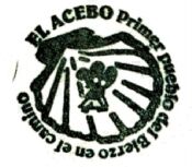 Preview acebo 2